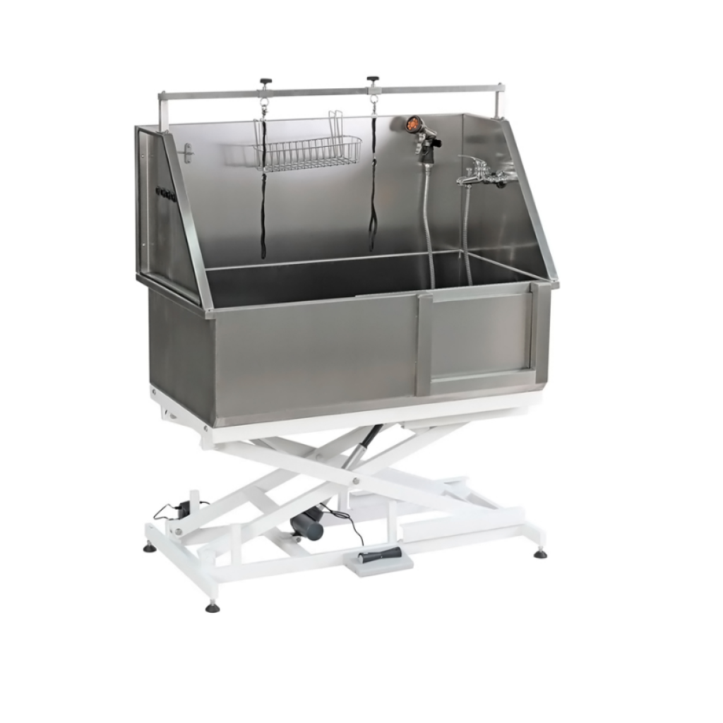 Captura de ecrã 2025-11-10 124049