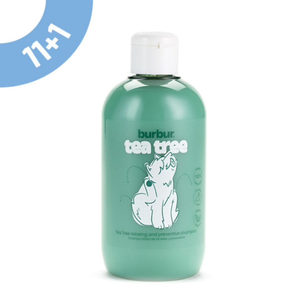 Captura de ecrã 2026-04-16 161148